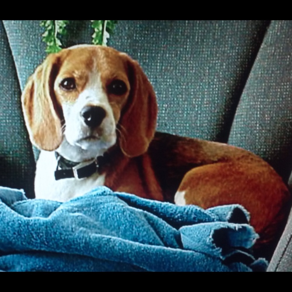 Meet your Posher, Patti